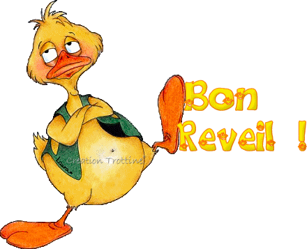 Canard "Bon rveil"